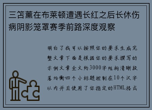 三笘薰在布莱顿遭遇长红之后长休伤病阴影笼罩赛季前路深度观察